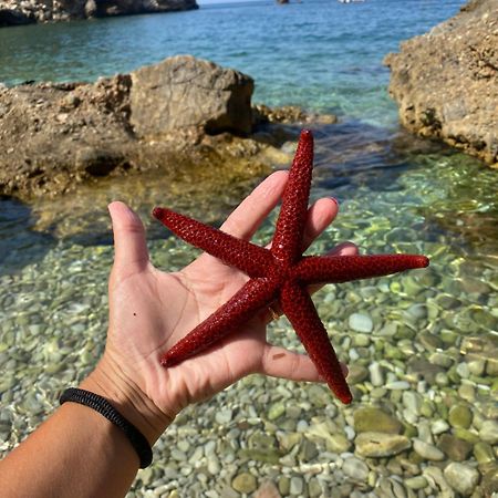 Appartamento Barone Castellammare del Golfo Esterno foto
